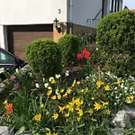 Ferienwohnung Dettum アパート