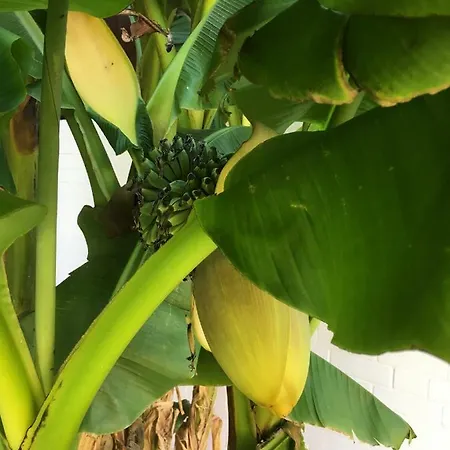 Ferienwohnung Dettum *