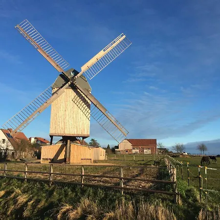 Ferienwohnung Dettum Lägenhet *