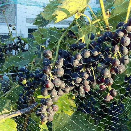 Ferienwohnung Dettum *