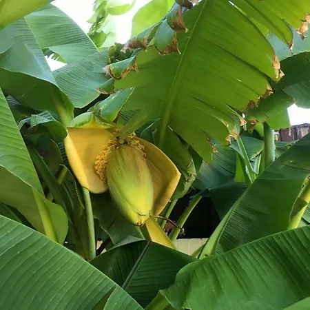 Ferienwohnung Dettum Lägenhet