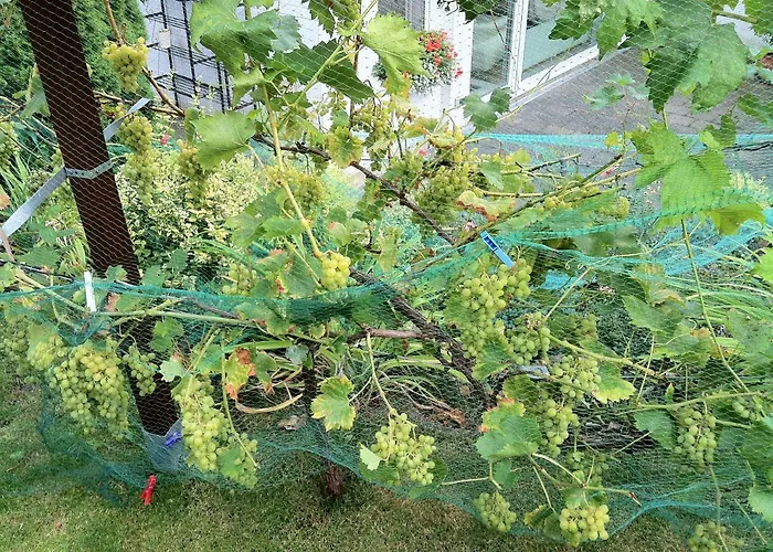 Ferienwohnung Dettum *