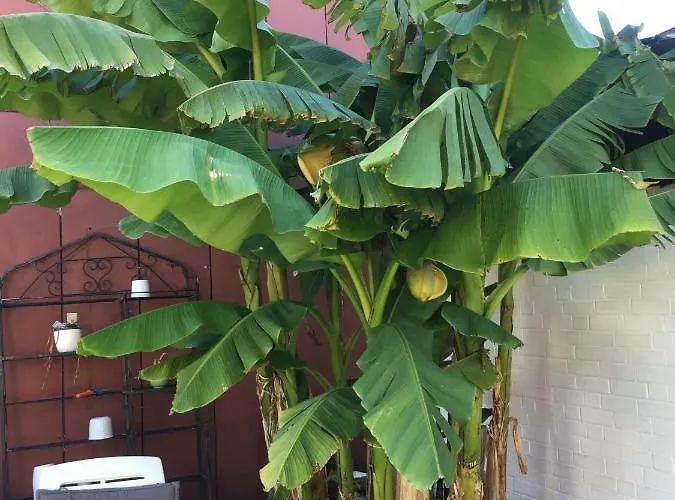 Ferienwohnung Dettum شقة