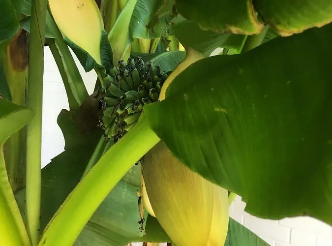 Ferienwohnung Dettum *