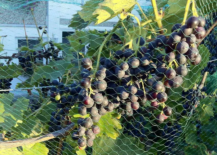 Ferienwohnung Dettum *