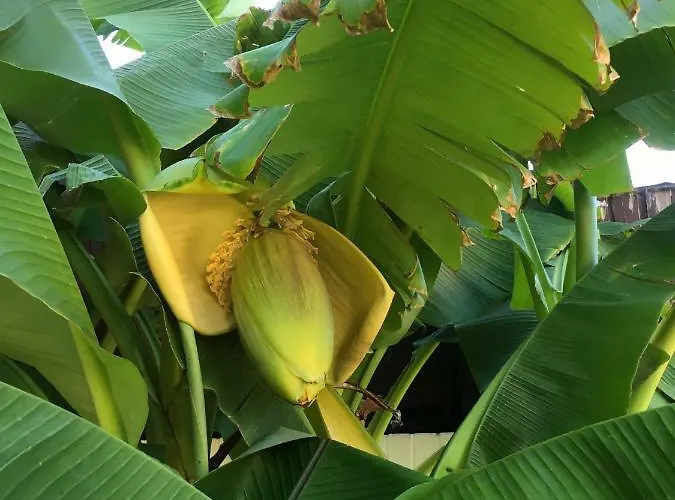 Ferienwohnung Dettum شقة